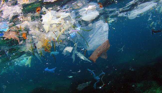 Утилизация и переработка пластиковых отходов