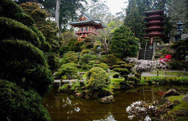 28 потрясающих вариантов японских садов
28 потрясающих вариантов японских садов