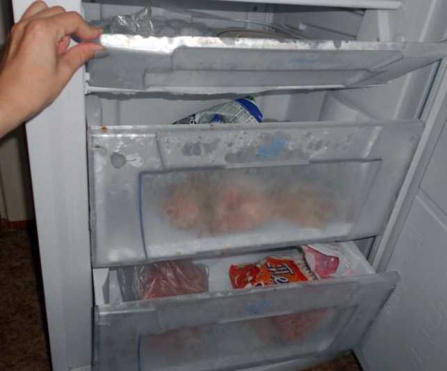 Холодильник перестал морозить: причины и способы устранения