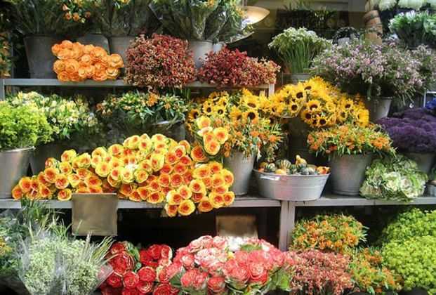 Как открыть собственный цветочный бизнес и зарабатывать на этом