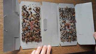 Что делать, если от соседей ползут тараканы? причины появления и борьба с ними