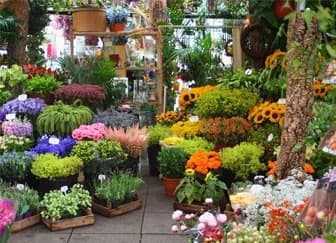 Цветочный бизнес - как начать цветочный бизнес с нуля и преуспеть?