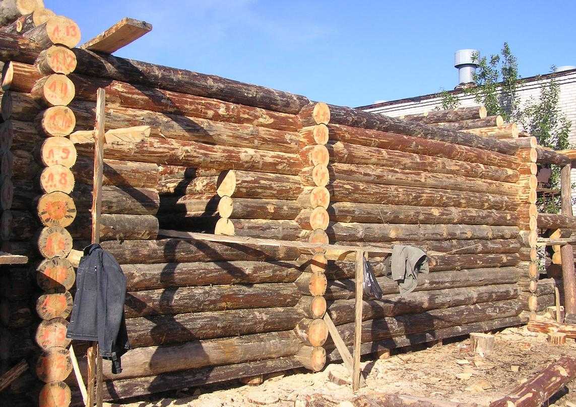 Срок службы деревянного дома из бревна по снип