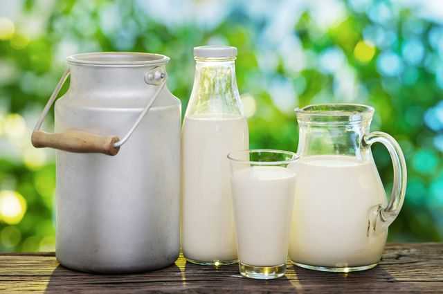 8 фактов о пользе кисломолочных продуктов для организма человека + возможный вред