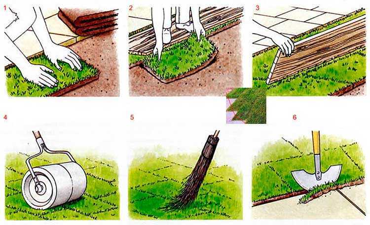 Выравнивание участка под газон: как разровнять землю своими руками