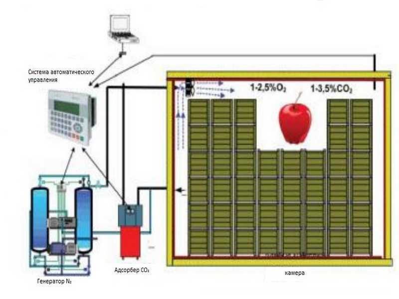 Холодильное оборудование для овощехранилищ: как работает генератор