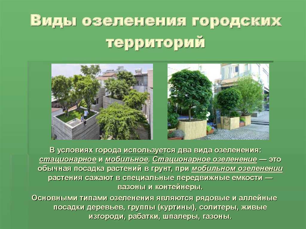 Оформление сада с акцентом на деревья, кустарники и хвойные. фото — ботаничка.ru