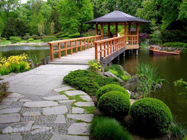 Японский сад: фото, видео