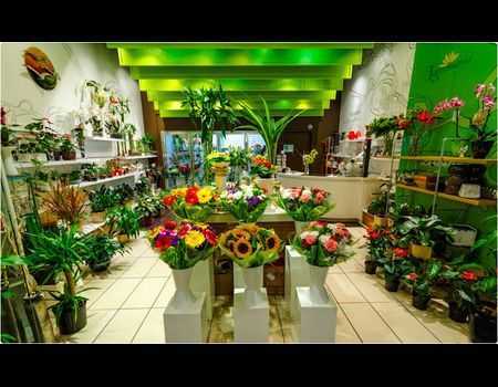 Подробный бизнес-план по открытию цветочного магазина — пример с расчетами