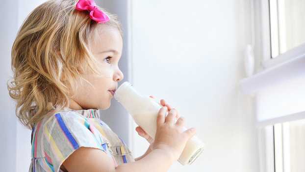 Вкус, знакомый с детства. в чем польза молочных и кисломолочных продуктов?