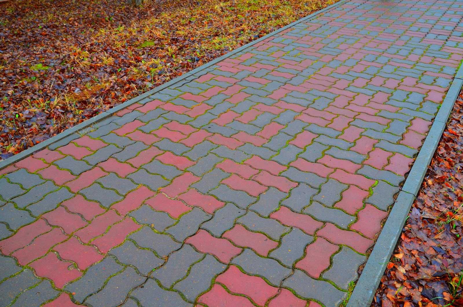 Тротуарная плитка – что это такое, чем отличается от брусчатки, описание основных видов, варианты укладки