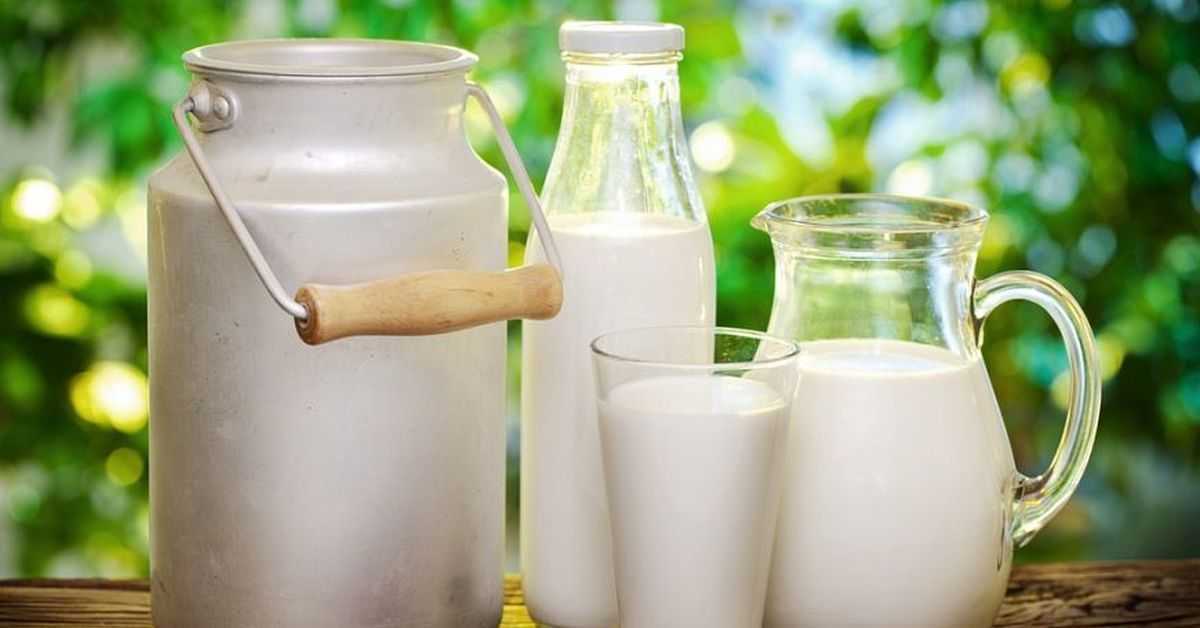 Полезны ли молочные продукты? - medical insider