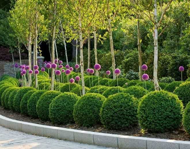 Оформление сада с акцентом на деревья, кустарники и хвойные. фото — ботаничка.ru
