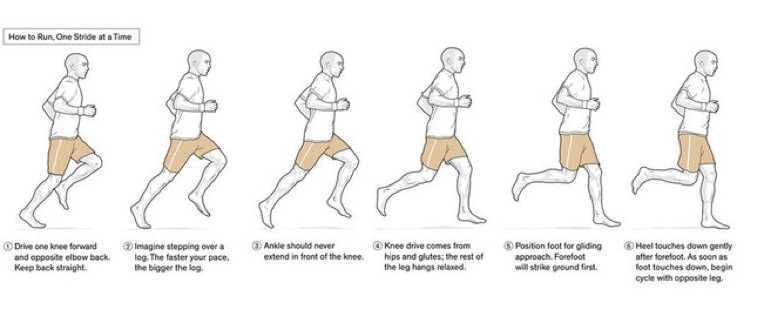 Спринтер vs марафонец: 8 главных отличий