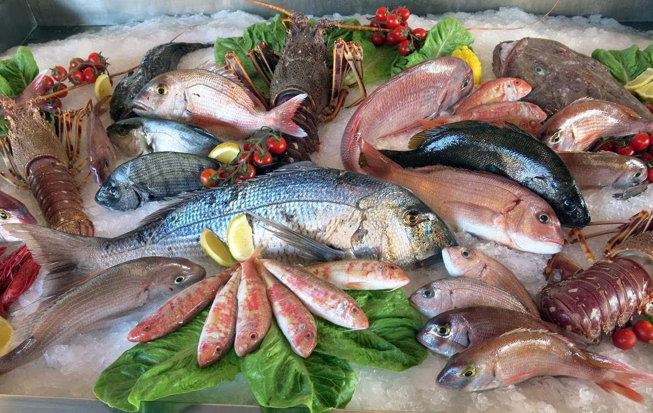 Икра лососевых рыб является деликатесным, полезным продуктом, содержащим много нужных организму витаминов, микроэлементов.