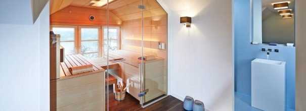 Как выбрать стеклянные двери для сауны и бани по размерам, толщине и качеству стекла + фото