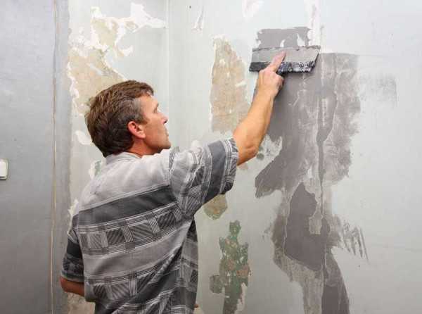 Шпаклевка стен под покраску: технология и тонкости процесса