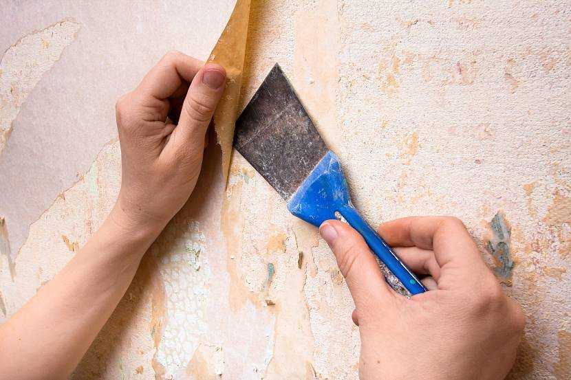 Как покрасить стены в квартире своими руками - подготовка поверхностей, выбор материалов и этапы работ