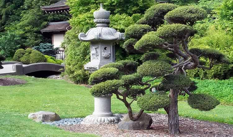Сад в японском стиле