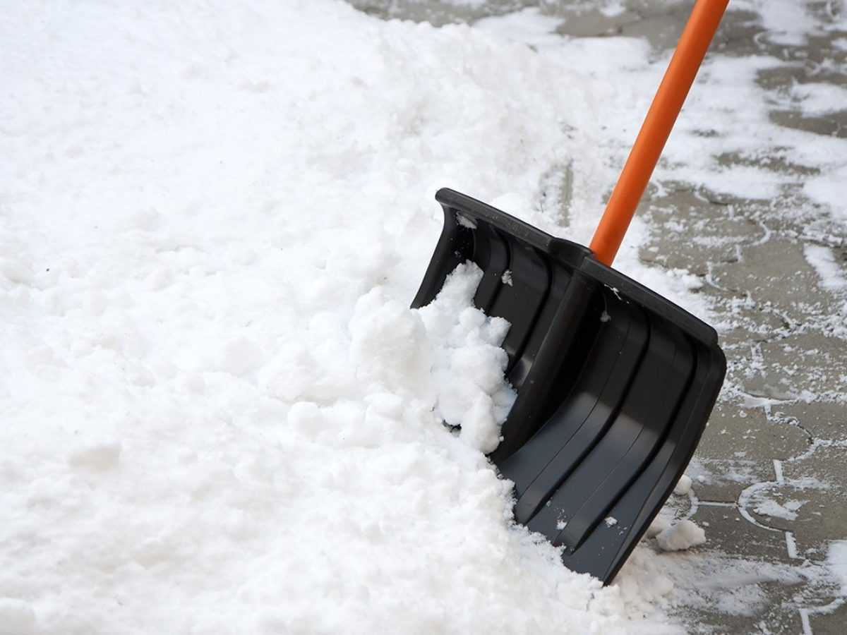 Приобретение снегоуборщика актуально, так как заснеженные территории тяжело чистить вручную. Техника, предназначенная для очистки территории от снега, бывает разной: все зависит от нужд владельца.